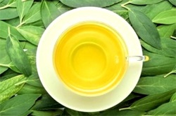 зеленый чай свойства